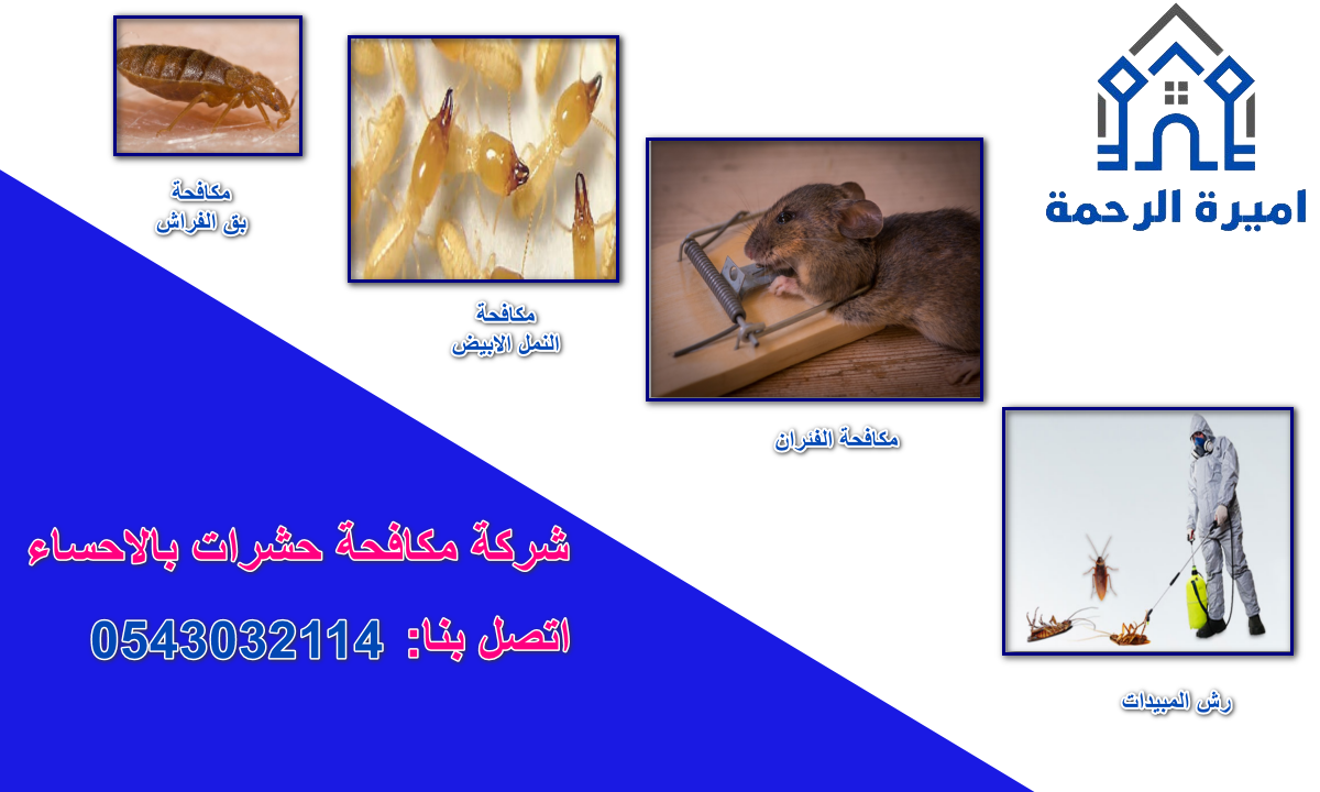 شركة مكافحة حشرات بالاحساء