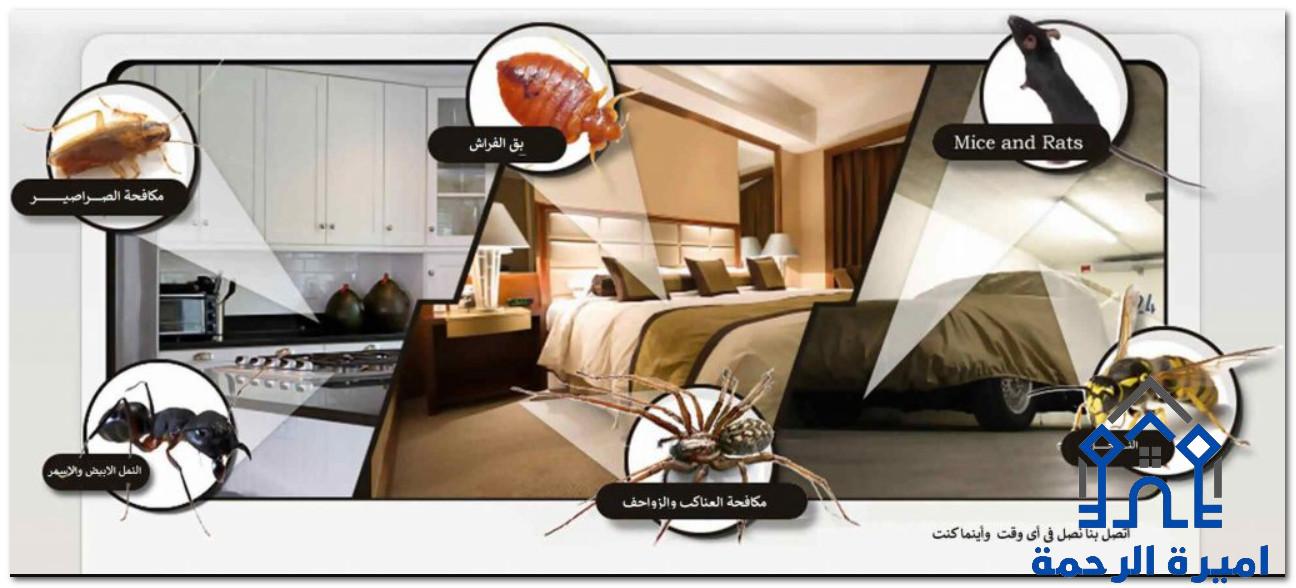 شركة ورش لمكافحة الحشرات