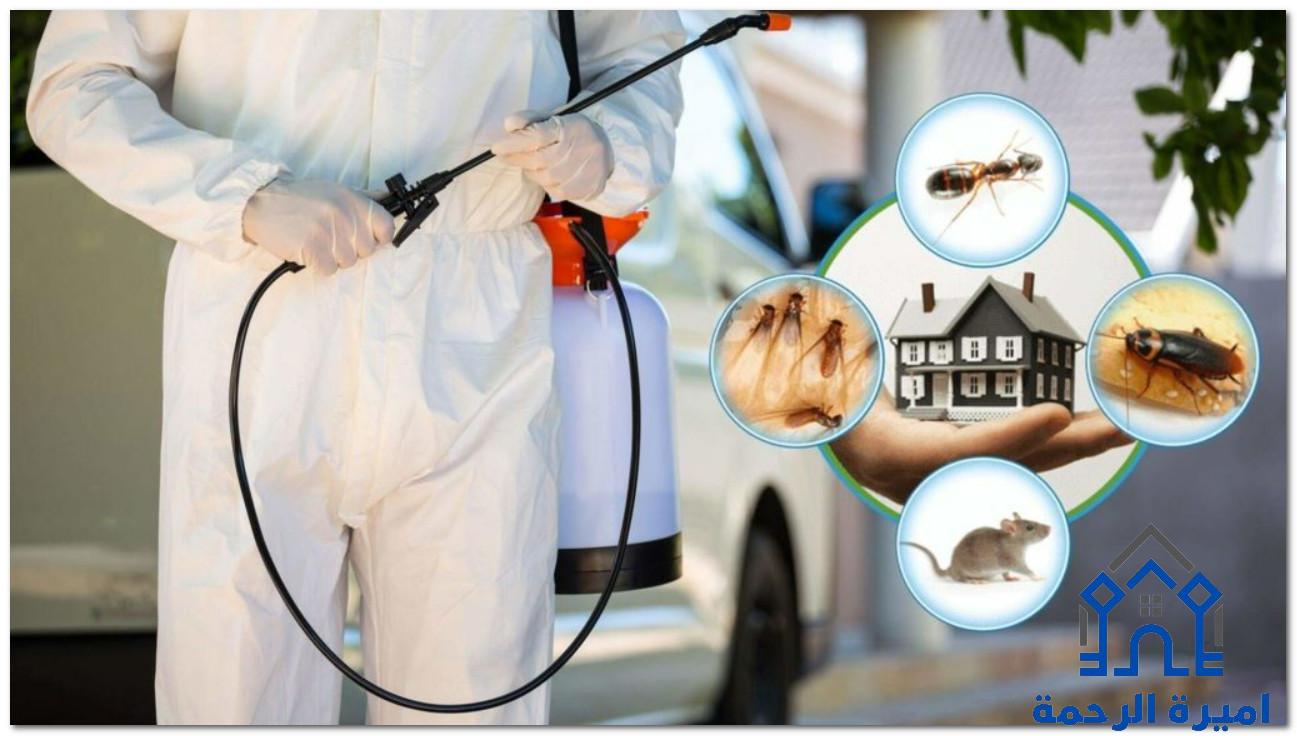 مكافحة الحشرات بالاحساء