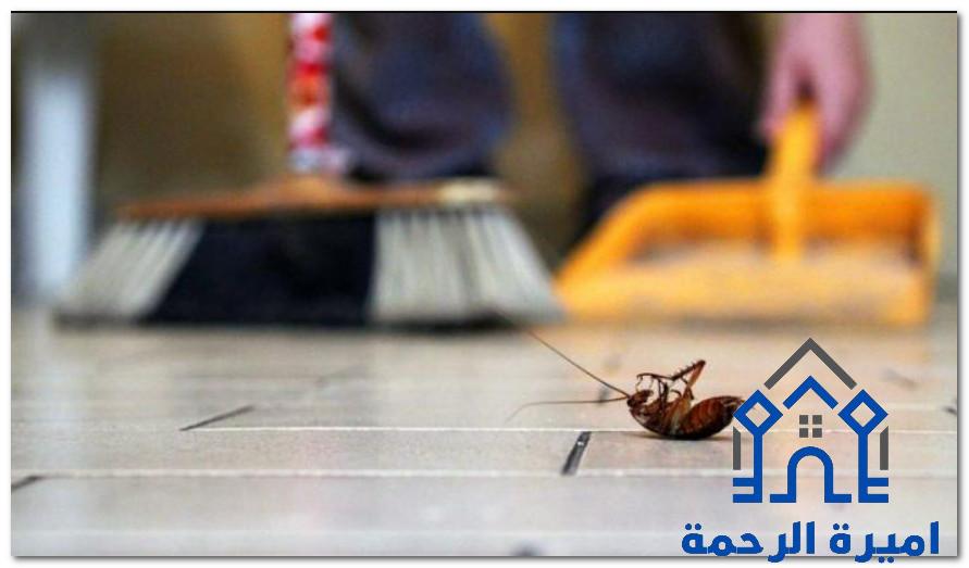 شركة رش الصراصير بالاحساء