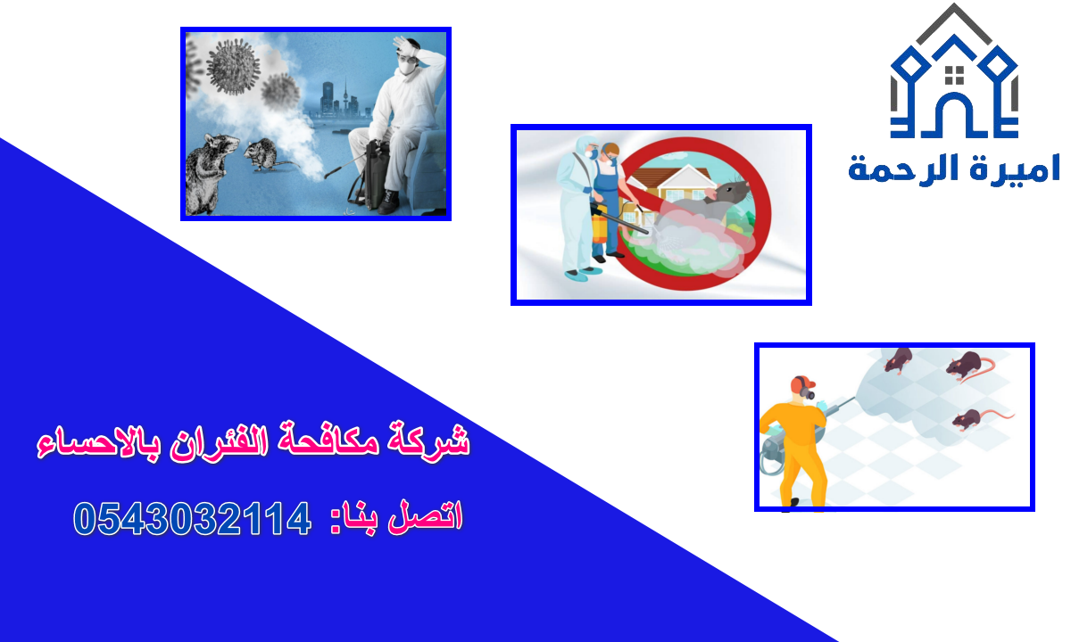 شركة مكافحة الفئران بالاحساء