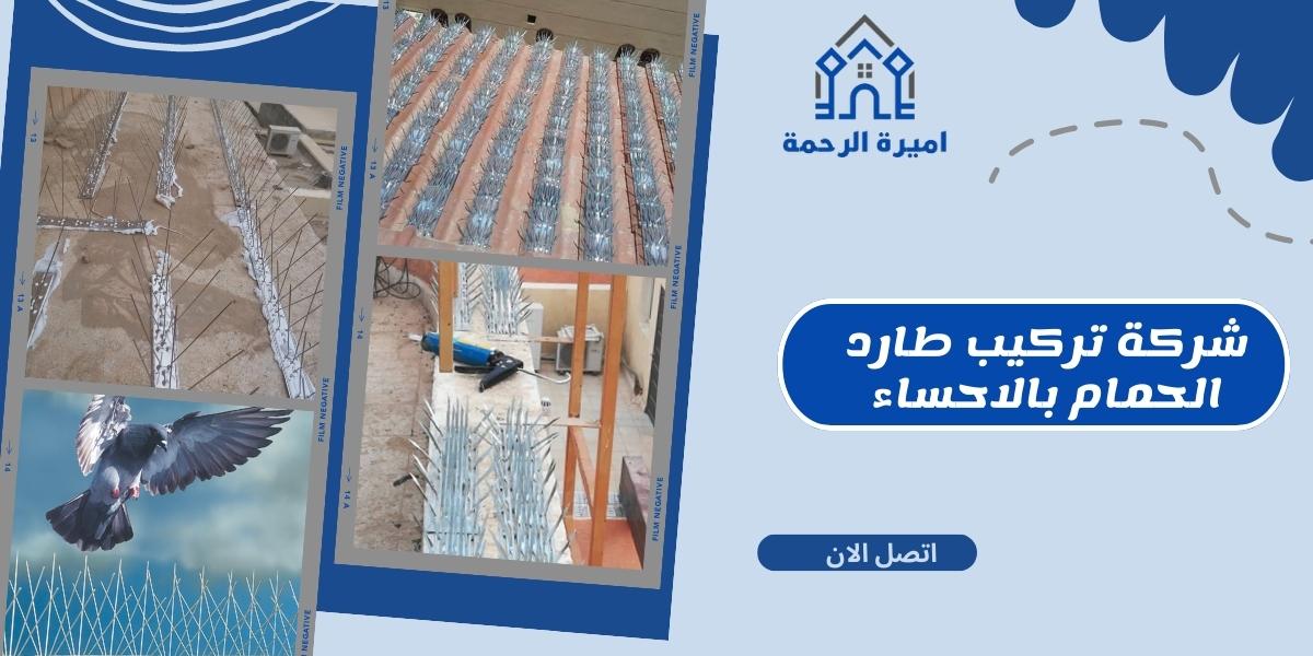 شركة تركيب طارد الحمام بالاحساء