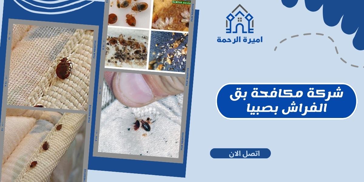شركة مكافحة بق الفراش بصبيا