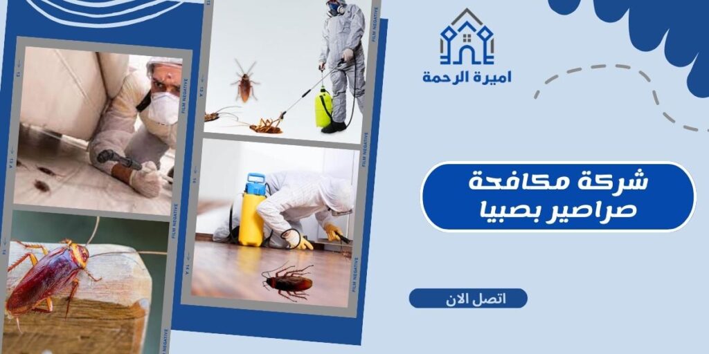 شركة مكافحة صراصير بصبيا