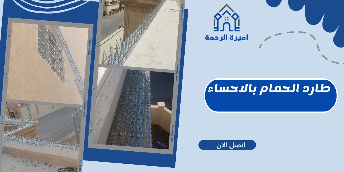 طارد الحمام بالاحساء